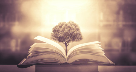 外地车可不可以去西湖