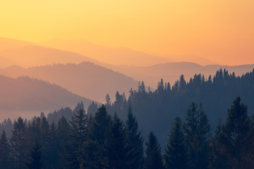 汽车保险怎么买最划算