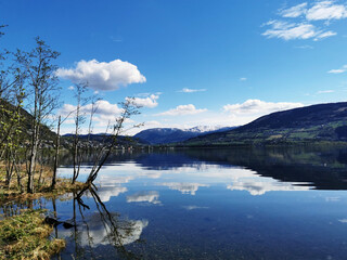 买艾力绅十大忠告