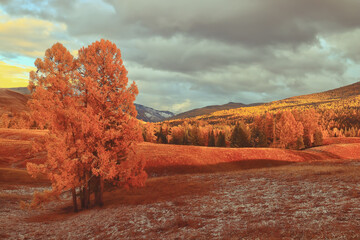 刹车分泵松旷过烂路异响怎么解决
