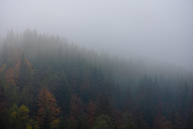 ID.6CROZZ7座落地需要多少钱？